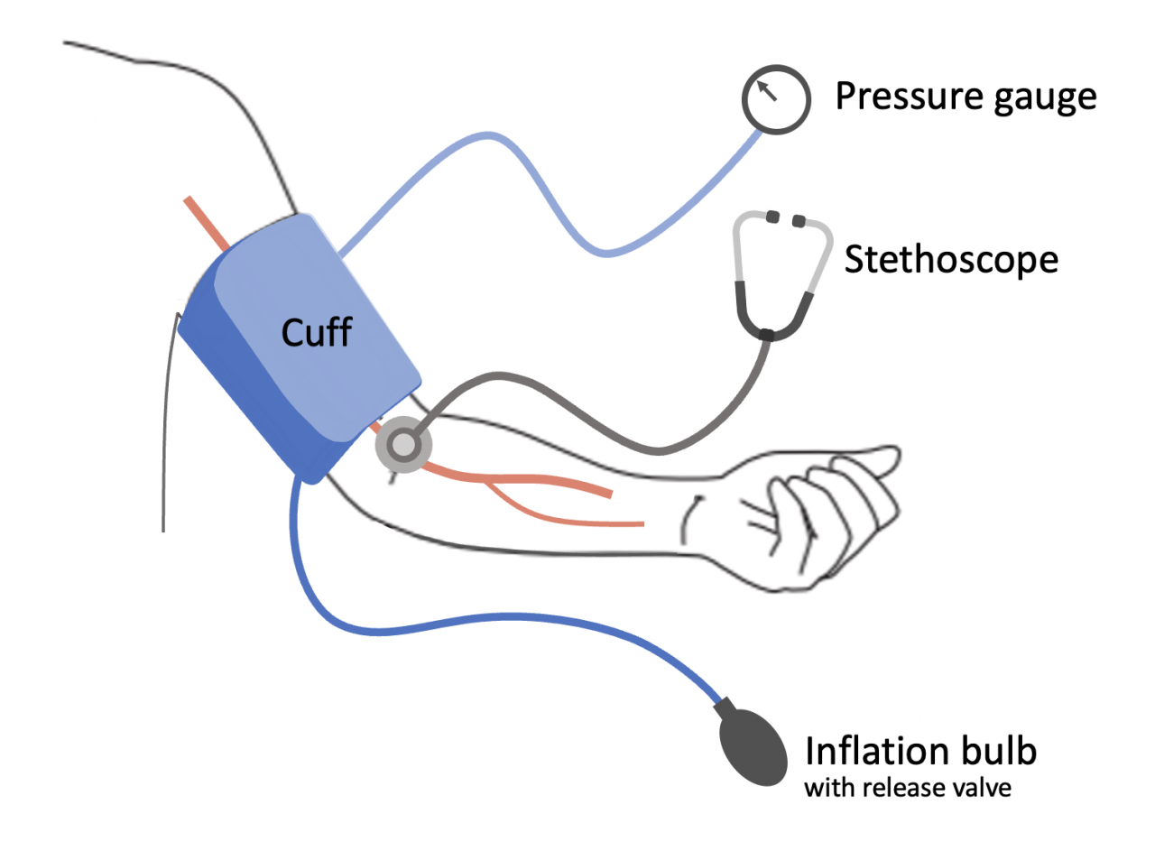 blood-pressure-acoustics-lab-university-of-cambridge